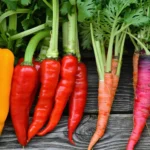 À semer absolument en juillet : ces légumes surprenants offrent une récolte express avant l’automne