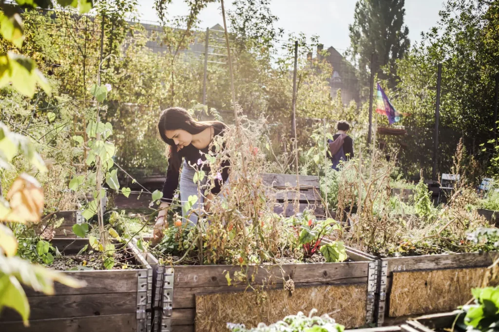 La permaculture : guide complet du débutant pour adopter un mode de vie durable et autonome