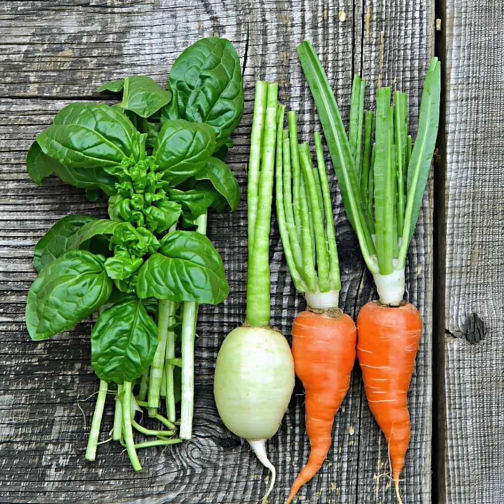 5 légumes "faciles" pour démarrer votre potager en septembre