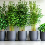 Astuces de jardinier pour booster la croissance de pot bambous sans produits chimiques